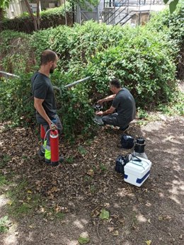 La Eliminación De Agua Estancada Para Evitar La Reproducción De Mosquitos Y Los Tratamientos Donde Habitan Son Importantes Para Frenar La Expansión De Algunas Enfermedades.