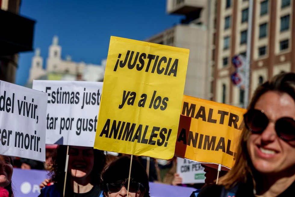 Archivo - Un grupo de personas sujetan pancartas en una concentración bajo el lema No a la caza, en la Plaza de Callao, a 5 de febrero de 2023, en Madrid (España). 