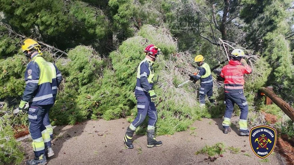 Bomberos retiran árboles y ramas caídas por el fuerte viento en Mallorca.