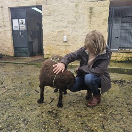 Ayuntamiento de Jerez aborda con afectados de la crecida del río Guadalete la protección de mascotas