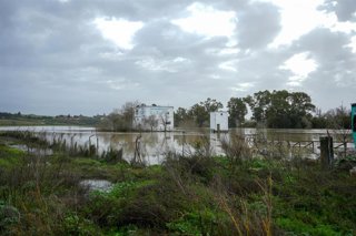 Imágenes del río Guadalete 