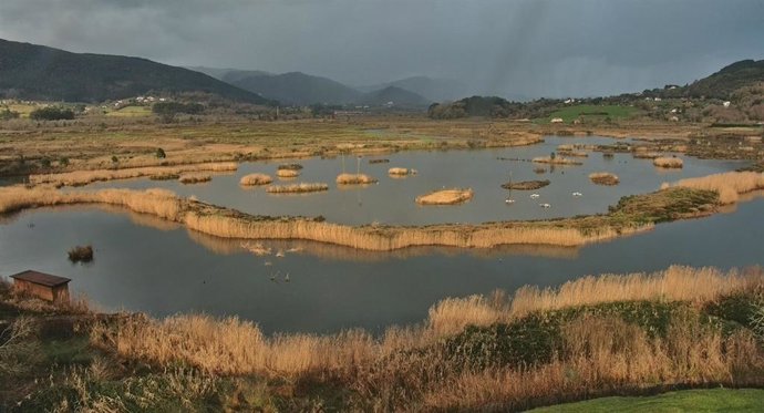 Humedal en Urdaibai