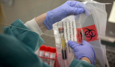 notibrasil sociedade