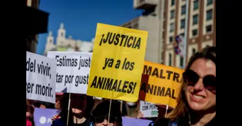 Plataforma No a la Caza convoca este domingo por toda España manifestaciones contra la actividad cinegética