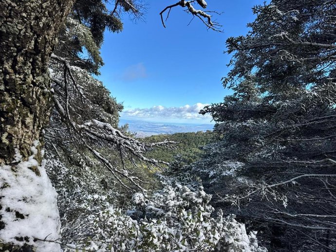 Sierra de las Nieves, parque nacional y reserva de la biosfera