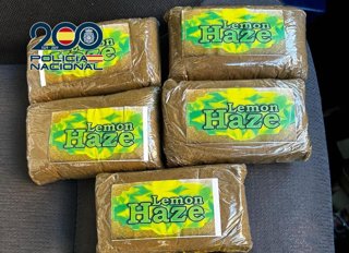 Hachís intervenido por la Policía Nacional en controles de Alicante