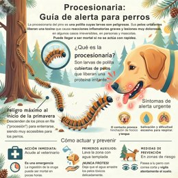 Cartel sobre la procesionaria