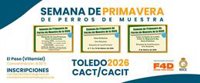 Villamiel acoge la Semana de Primavera de Perros de Muestra del 3 al 15 de este mes con más de 200 animales
