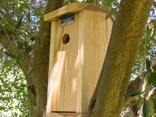 La Fundación Prode impulsa, a través de su proyecto 'El Dehesafío', por cuarto año consecutivo, la campaña de instalación de nidales en el Valle de Los Pedroches, en el norte de la provincia de Córdoba.