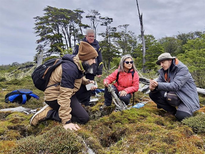 Investigadores de la UR estudian en Chile cómo logran las plantas resistir a la radiación ultravioleta extrema