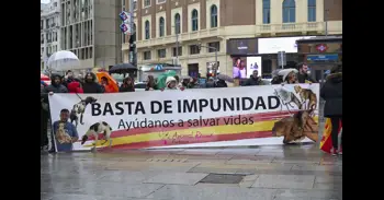 Animalistas denuncian el "abandono" que sufren los perros de caza: "Aparecen en condiciones terribles y no los protegen"