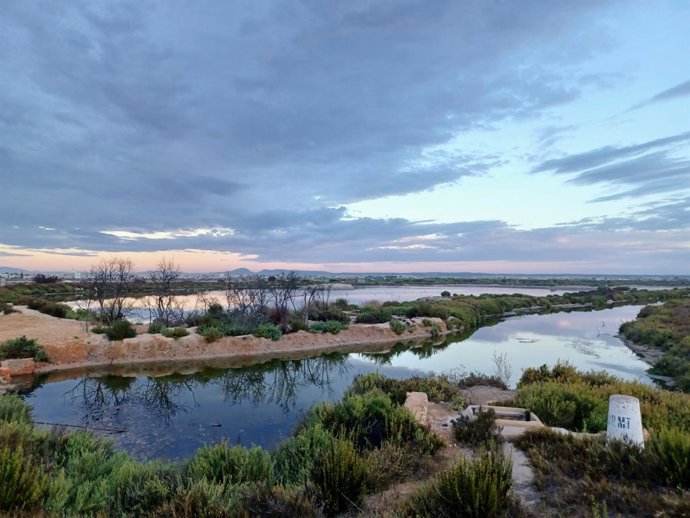 Charca Coterillo, uno de los humedales de la Región de Murcia, localizado en el Parque Regional de las Salinas y Arenales de San Pedro del Pinatar