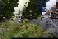 Restablecido el tráfico en avenida La Palmera, Jiménez-Becerril, y Plaza de Cuba tras cortes por caída de árboles