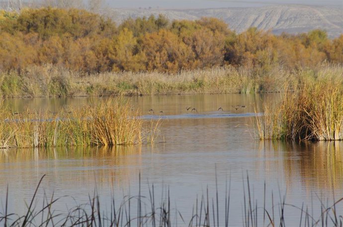 Laguna Soto de las Cuevas