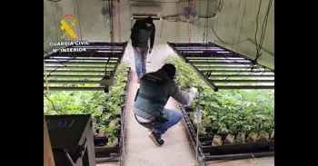 La Guardia Civil desmantela en Murcia un invernadero subterráneo dedicado al cultivo masivo de marihuana