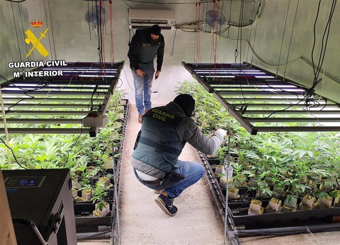 Sucesos.- La Guardia Civil desmantela en Murcia un invernadero subterráneo dedicado al cultivo masivo de marihuana