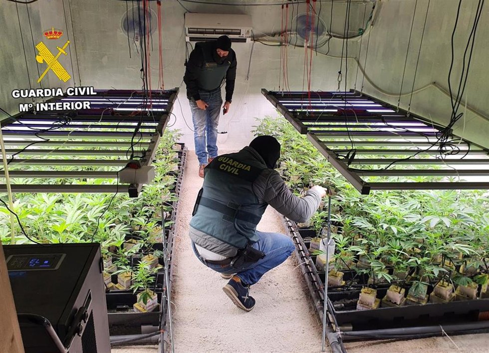 Sucesos.- La Guardia Civil desmantela en Murcia un invernadero subterráneo dedicado al cultivo masivo de marihuana