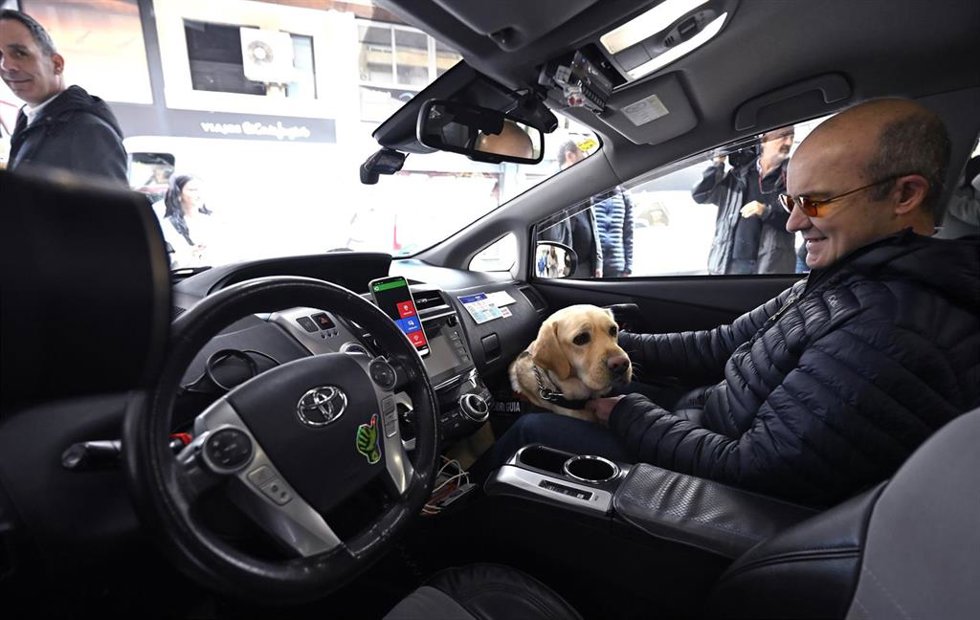 Un usuario con su perro guía dentro de un taxi