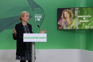 Archivo - La secretaria de Empleo del PSOE-A, Carmen Castilla, en rueda de prensa en la sede del partido en Sevilla. (Foto de archivo).