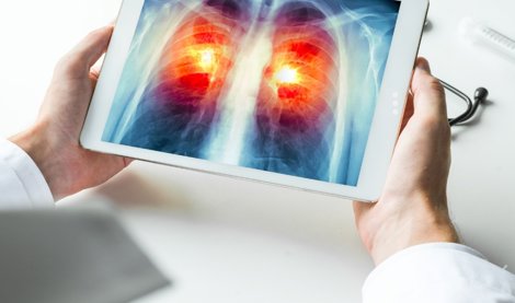 notibrasil sociedade