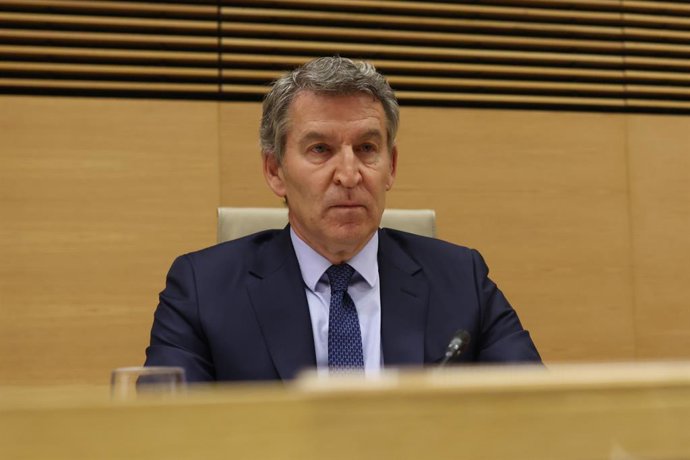 El líder del PP, Alberto Núñez Feijóo