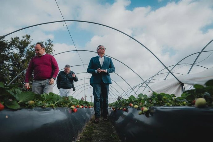 El portavoz parlamentario de Vox en Andalucía, Manuel Gavira, en una visita a una finca afectada por el temporal en Almonte (Huelva).