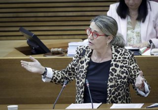 Archivo - La diputada del PPCV Elena Bastidas