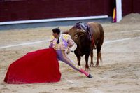 PP insta a que "niños, jóvenes y familias" vayan a las plazas de toros: "Los tristes no van a impedir que acudan"