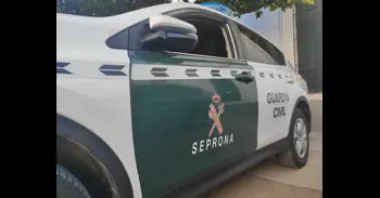 Detienen a un profesor de equitación por maltratar a su caballo durante un campeonato de salto en Gran Canaria