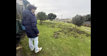 Torrelavega exige al Gobierno una actuación urgente ante la proliferación de jabalíes en Torres, Duález y Caseríos