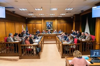 Sesión plenaria ordinaria de la Diputación de Almería.