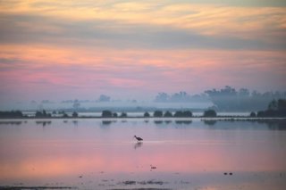 Humedales de Doñana.