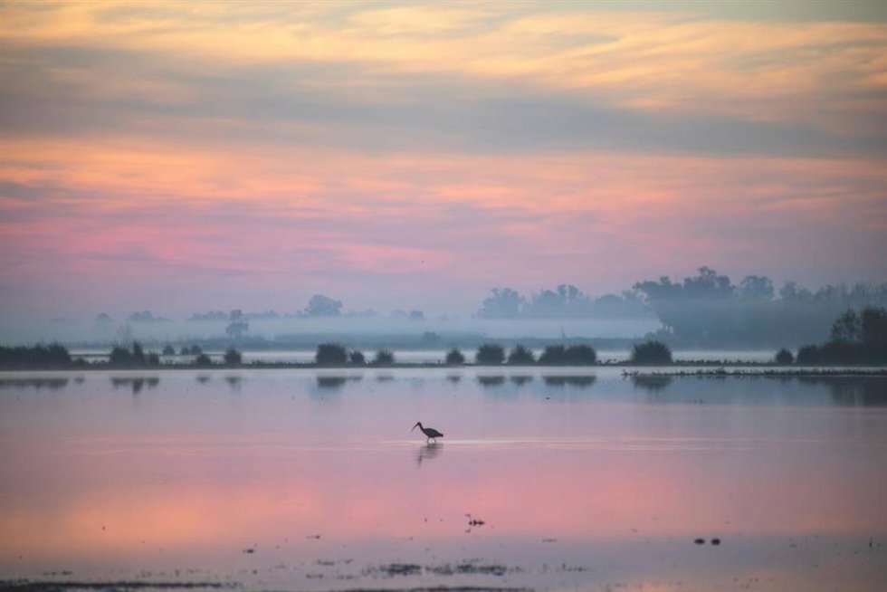 Humedales de Doñana.