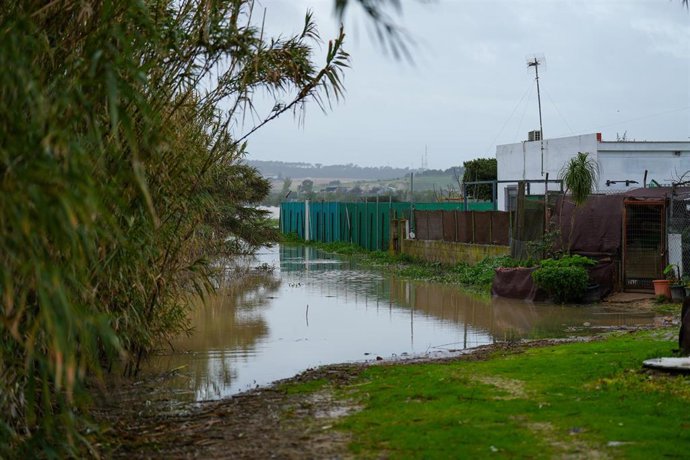 Imágenes del río Guadalete a su paso por la barriada de la Corta . A 30 de enero de 2026 en Jerez de la Frontera, Cádiz (Andalucía, España). ARCHIVO.
