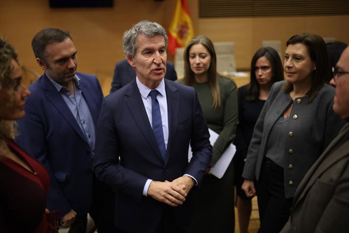 El president del PP, Alberto Nuñez Feijóo, compareix en la Comissió d'investigació de la Dana, en el Congrés dels Diputats, a 2 de febrer del 2026, a Madrid (Espanya). 