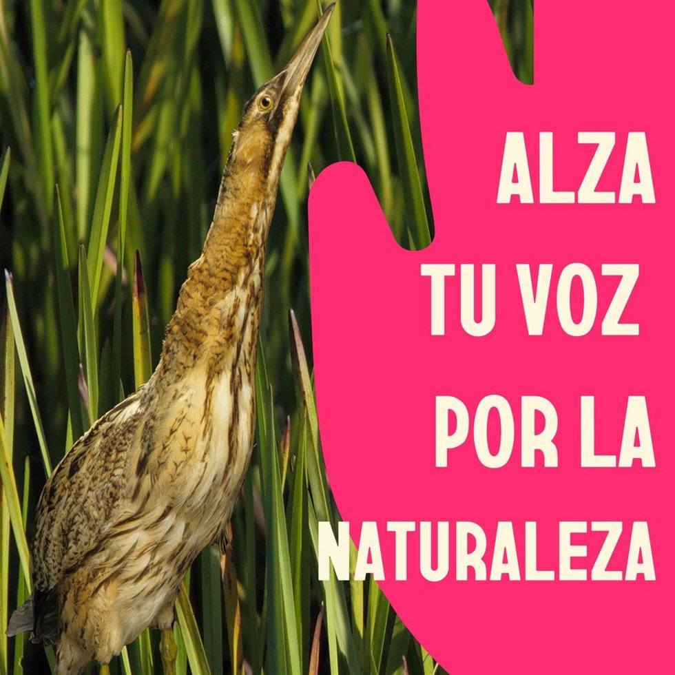 Imagen de campaña.