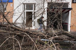 Un árbol de grandes dimensiones caído en la barriada de Pino Montano de Sevilla a causa del fuerte viento del temporal que barre gran parte de Andalucía. A 2 de febrero de 2026 en Sevilla, (Andalucía, España). 