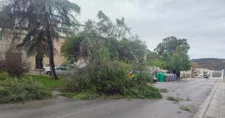Efectos de las borrascas en Puente Genil.