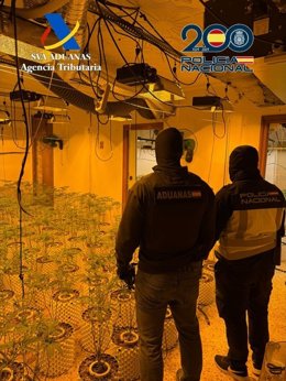 Imágenes de la operación de desmantelamiento de una organización criminal dedicada al tráfico de drogas