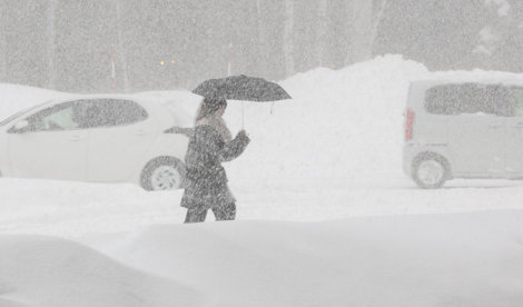 notibrasil sociedade