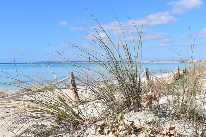 Archivo - Parque Natural Maritimoterrestre Es Trenc - Salobrar De Campos.
