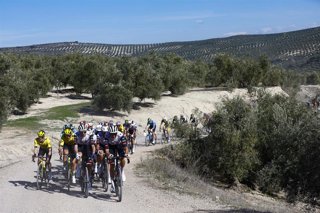 Archivo - El equipo UAE Team Emirates lidera al pelotón en un Camino de Olivos de la Clásica Jaén Paraíso Interior 2025.