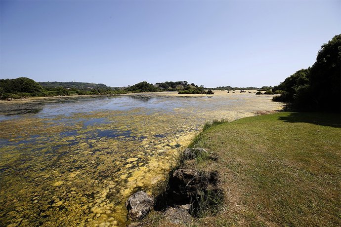 Archivo - Marismas de Santoña