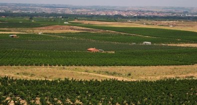 EpAgro - Agricultura