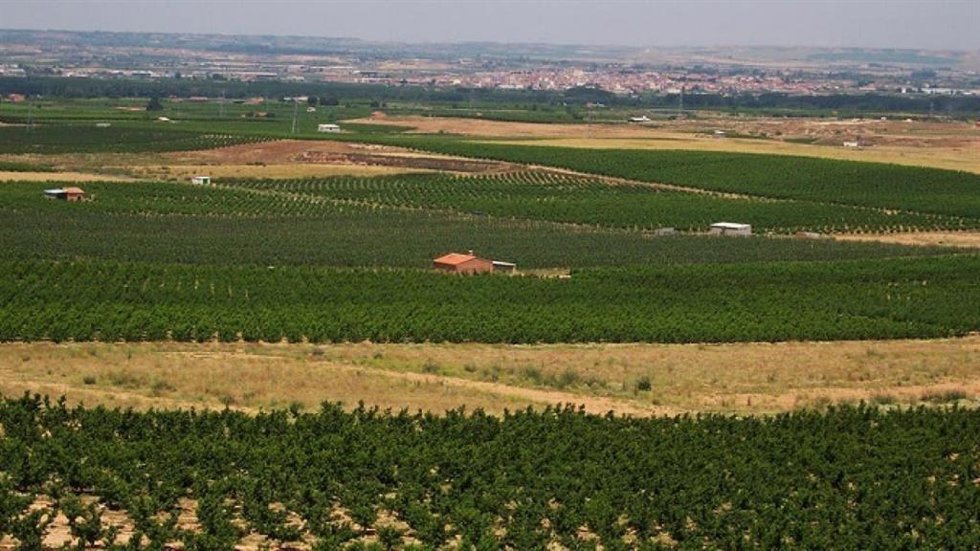 Campos.