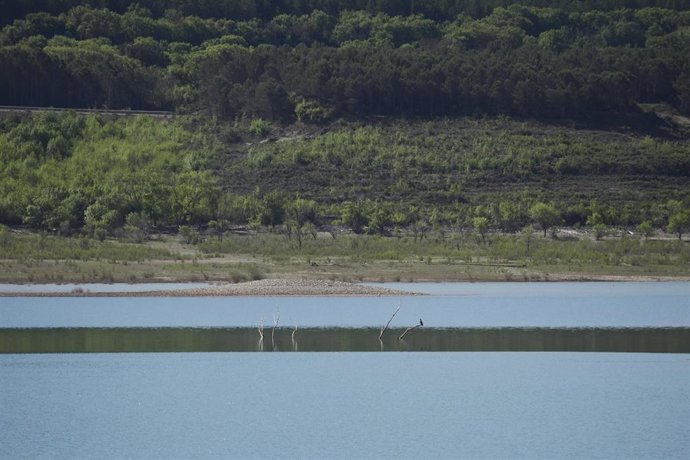 Archivo - Imagen de un pantano 