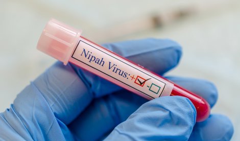 notibrasil sociedade