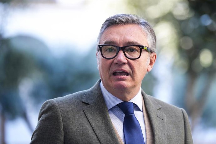 El portavoz del grupo parlamentario Vox en Andalucía, Manuel Gavira