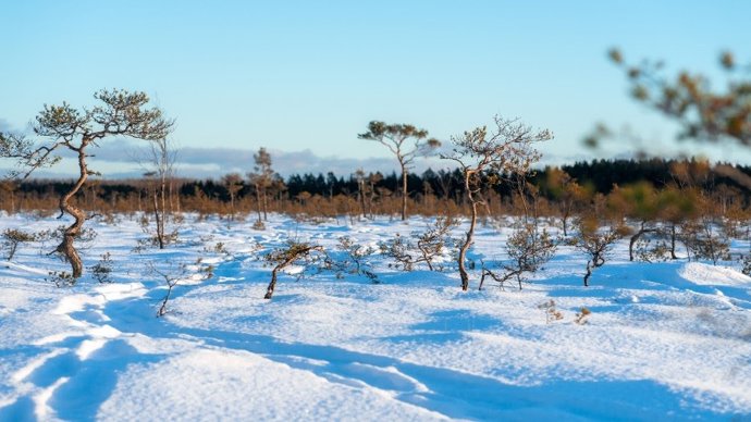 Aventura sobre hielo y nieve: cuatro experiencias estonias para subir pulsaciones