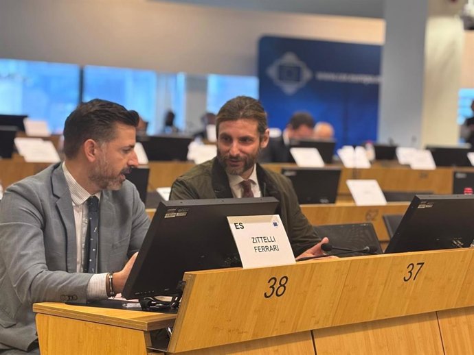 El director general de Unión Europea, Adrián Zittelli, en la última reunión de la Comisión Ciudadanía, Gobernanza, Asuntos Institucionales y Exteriores del Comité Europeo de las Regiones